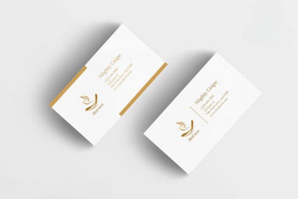 Mẫu card visit yến sào giá rẻ, thiết kế theo yêu cầu