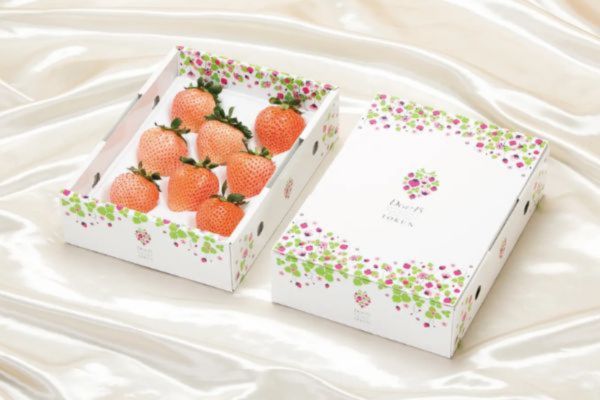 Mẫu hộp giấy đựng dâu tây đẹp tại Hà Nội