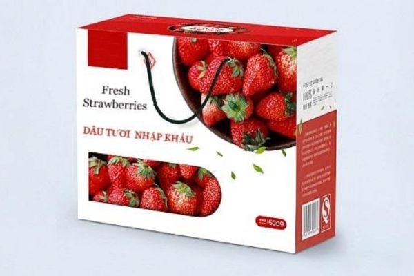 Mẫu hộp giấy đựng dâu tây đẹp tại Hà Nội
