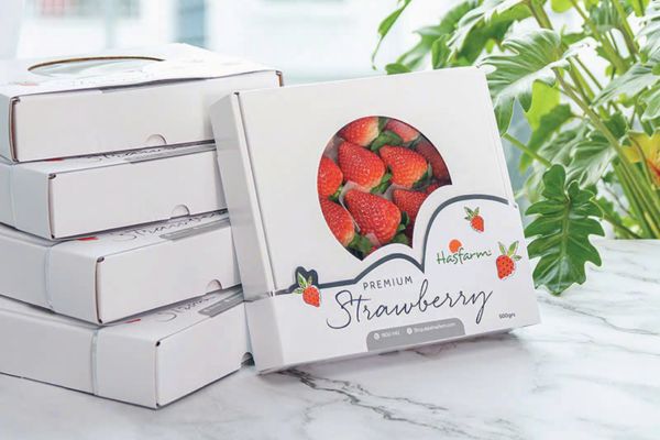 Mẫu hộp giấy đựng dâu tây đẹp tại Hà Nội