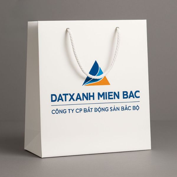 Túi giấy cty bất động sản giá rẻ, chất lượng cao tại Hoa Long