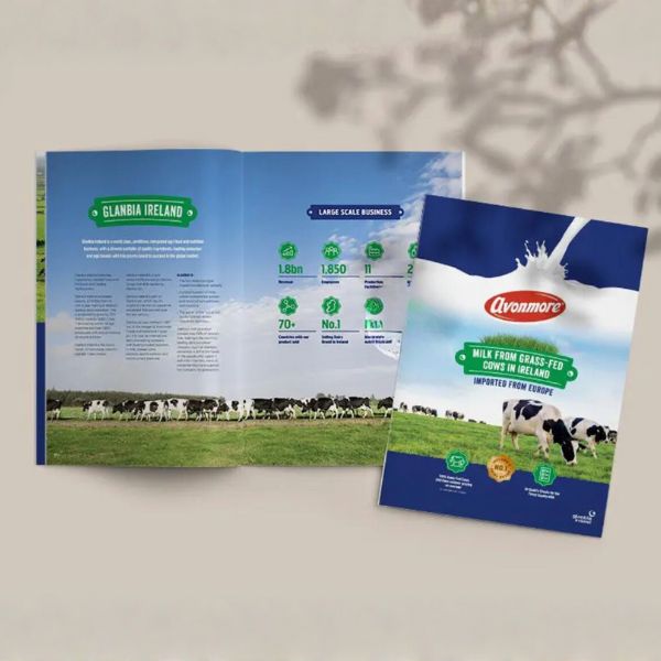 In catalogue sữa giá rẻ, chất lượng cao tại Hà Nội