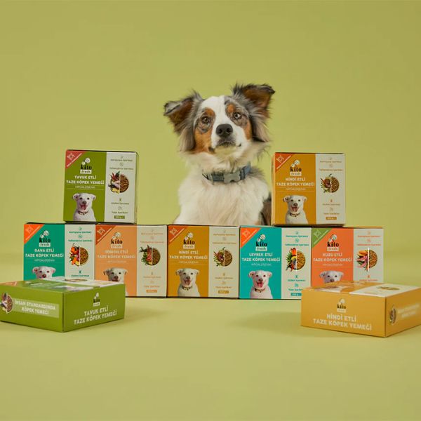 In bao bì cho thú cưng, giá rẻ, chất lượng cao tại Hà Nội