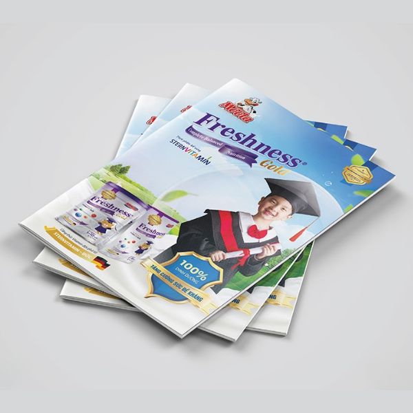 In catalogue sữa giá rẻ, chất lượng cao tại Hà Nội