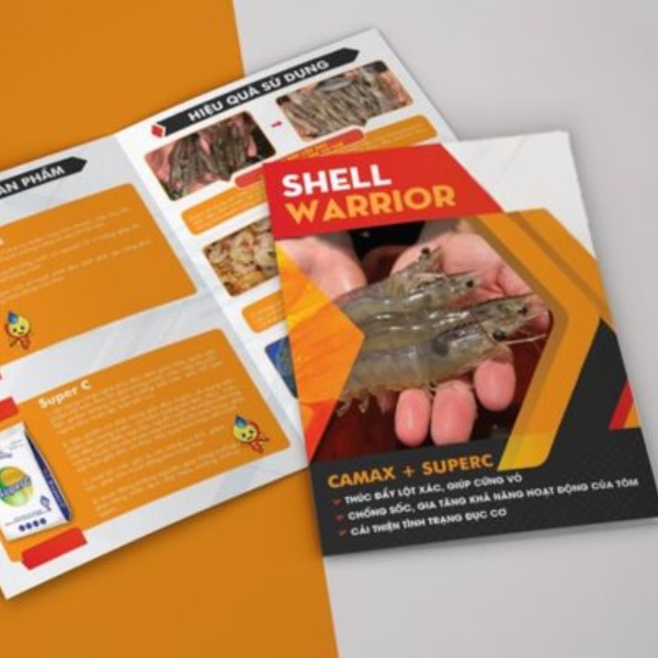 in catalog thiết bị thủy hải sản In Hoa long nhận in catalog thiết bị thủy hải sản cao cấp