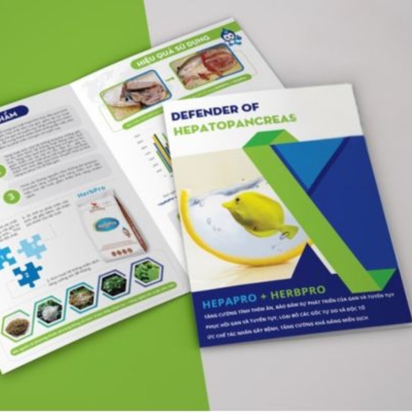 In Hoa long nhận in catalog thiết bị thủy hải sản giá rẻ