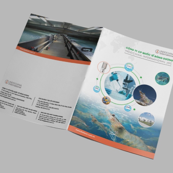 In Hoa long nhận in catalog thiết bị thủy hải sản theo yêu cầu
