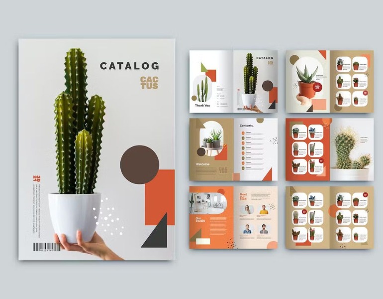 In catalogue bấm kim giữa đẹp mắt