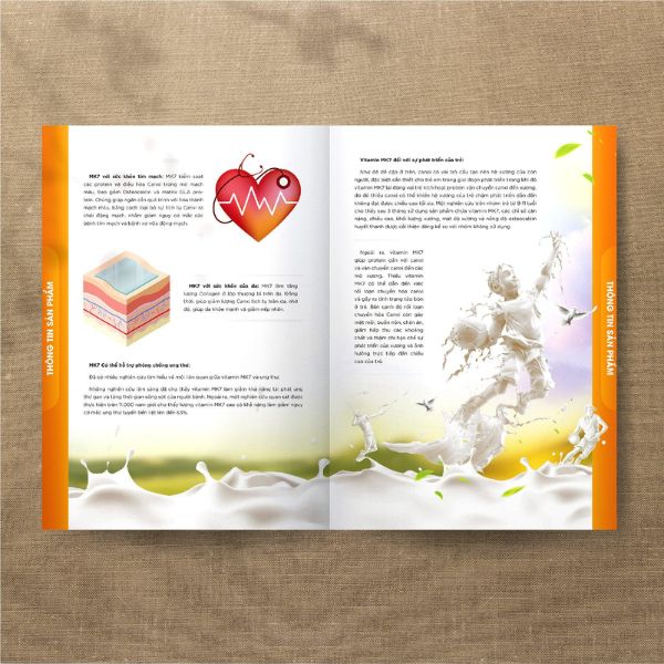 In catalogue sữa giá rẻ, chất lượng cao tại Hà Nội