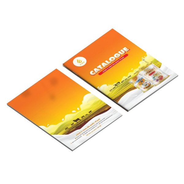 In catalogue sữa giá rẻ, chất lượng cao tại Hà Nội