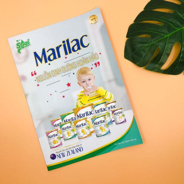 In catalogue sữa In catalogue sữa giá rẻ, chất lượng cao tại Hà Nội
