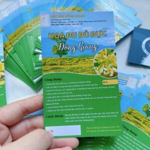 In tờ rơi a6 giá rẻ, thiết kế theo yêu cầu