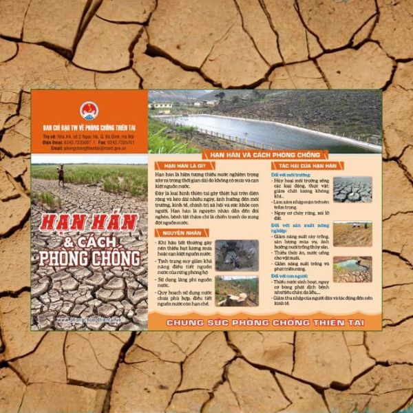 In tờ rơi phòng chống thiên tai giá rẻ, chất lượng cao