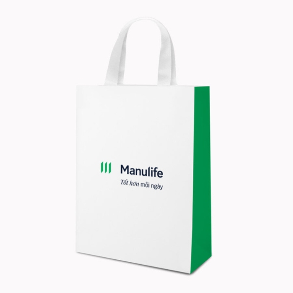 In túi giấy công ty bảo hiểm giá rẻ, tin cậy In túi giấy công ty bảo hiểm giá rẻ