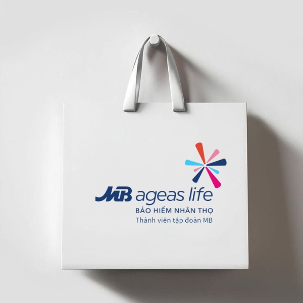 In túi giấy công ty bảo hiểm theo yêu cầu chất lượng In túi giấy công ty bảo hiểm theo yêu cầu