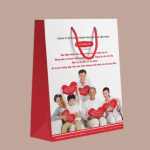 In túi giấy công ty bảo hiểm uy tín tại Hà Nội