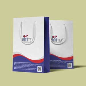 In túi giấy công ty du học uy tín chuyên nghiệp tại Hà Nội