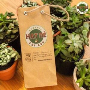 In Hoa Long nhận in túi giấy đựng hạt dẻ cao cấp