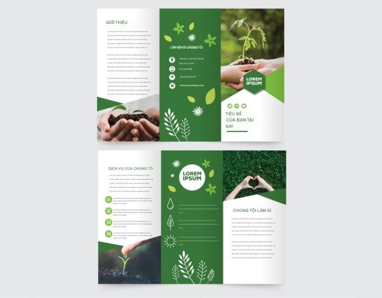 Mẫu brochure môi trường đẹp mắt