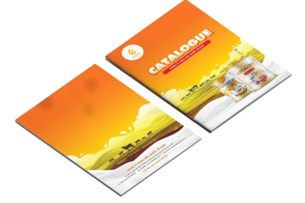 Mẫu catalogue bao bì thực phẩm hấp dẫn