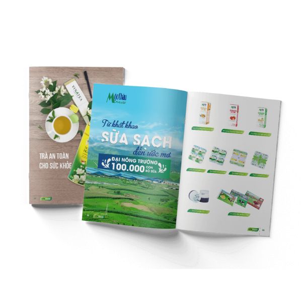 In catalogue sữa giá rẻ, chất lượng cao tại Hà Nội