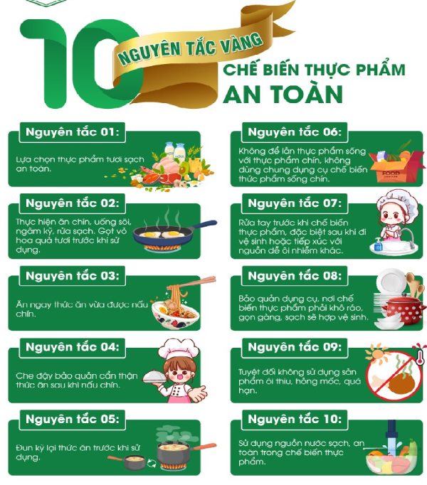 In Hoa Long nhận thiết kế và in ấn mẫu tờ rơi an toàn thực phẩm đẹp