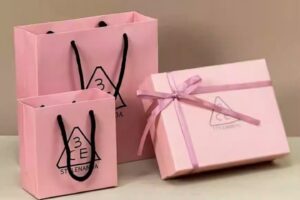 In Hoa Long nhận thiết kế và in ấn Mẫu túi giấy 3ce cao cấp