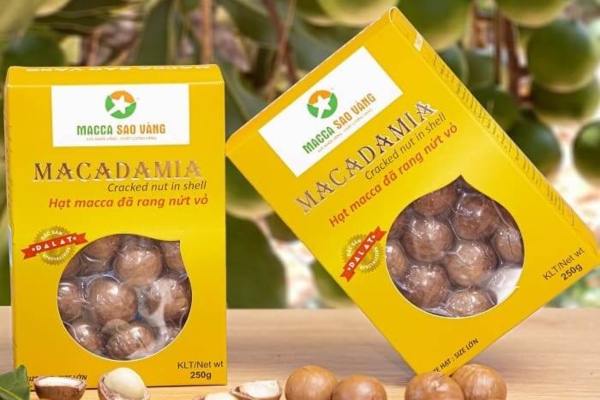 Thiết kế mẫu hộp giấy đựng hạt dinh dưỡng chuyên nghiệp