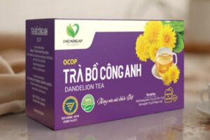 30+ Mẫu hộp trà bồ công anh đẹp mắt, sang trọng