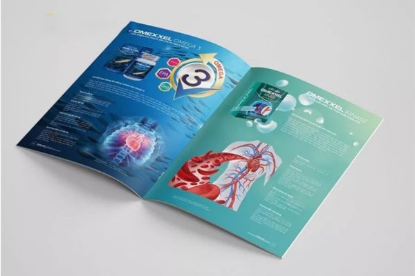 Mẫu catalogue dược phẩm tại Hà Nội