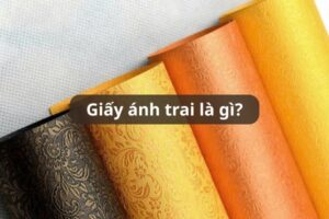 Giấy ánh trai là gì – Đặc điểm & Ứng dụng trong in ấn