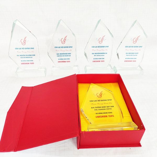 In hộp đựng kỷ niệm chương giá rẻ, chất lượng cao