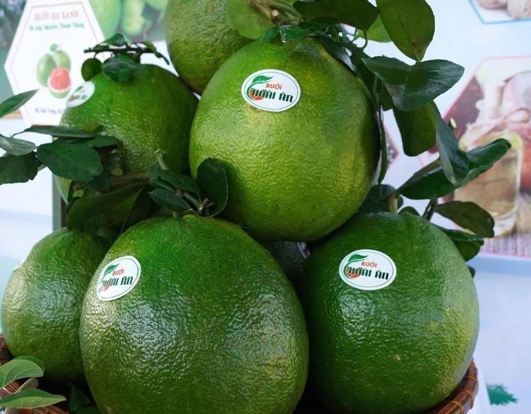 In logo nông sản mọi số lượng