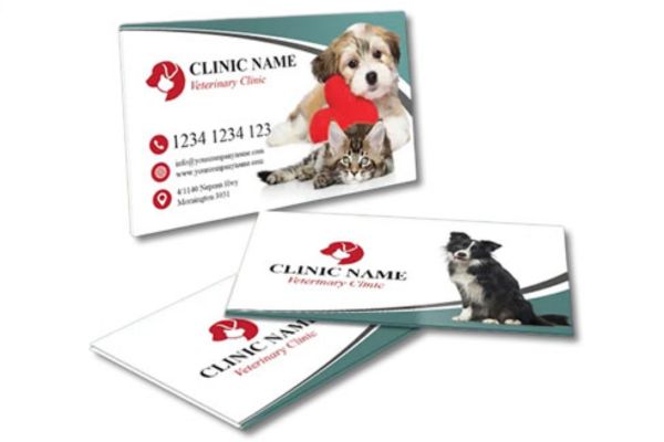 Mẫu card visit pet shop giá rẻ, chất lượng cao