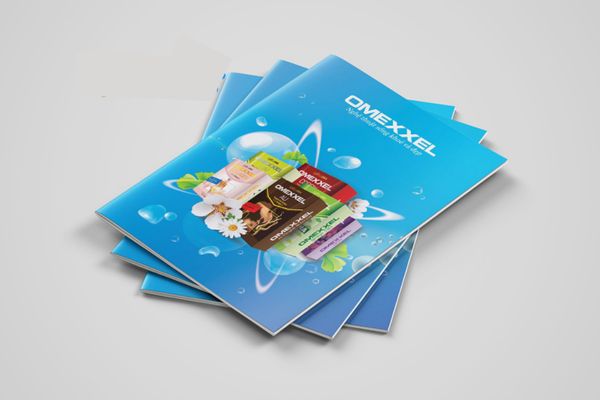 Mẫu catalogue dược phẩm tại Hà Nội