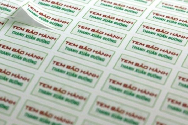 Mẫu tem bảo hành nhạc cụ giá rẻ, tại Hà Nội