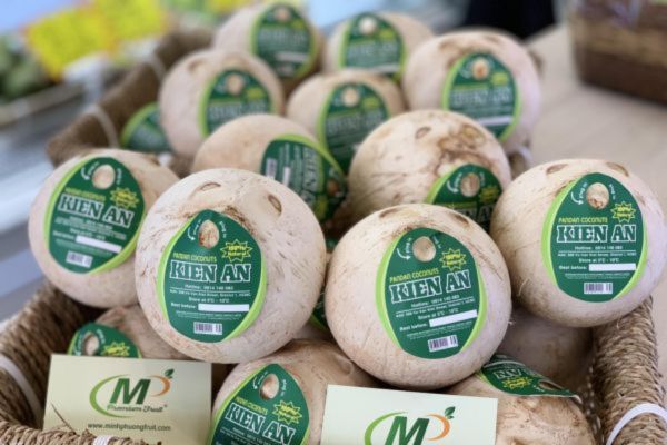 Mẫu tem nhãn dừa xiêm giá rẻ, thiết kế theo yêu cầu