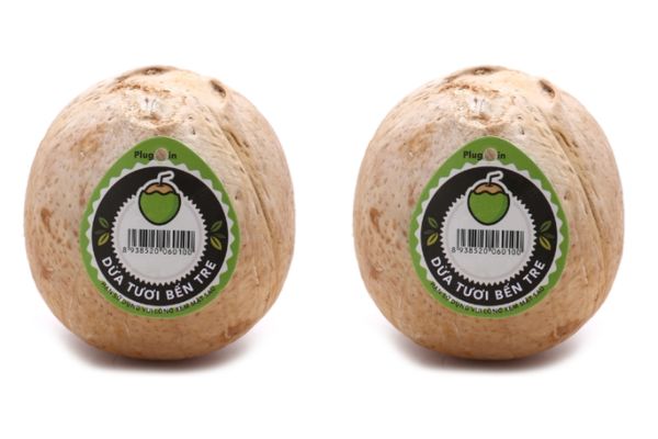 Mẫu tem nhãn dừa xiêm giá rẻ, thiết kế theo yêu cầu