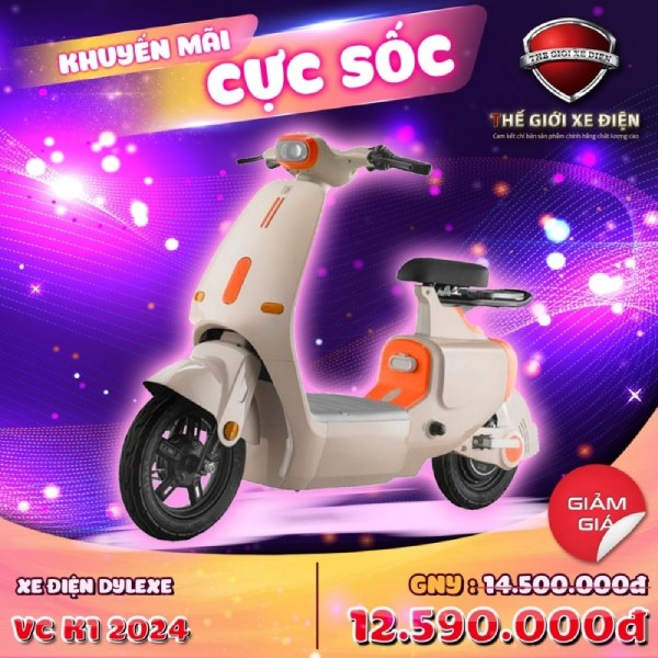 In Hoa Long nhận thiết kế và in ấn mẫu tờ rơi quảng cáo xe đạp điện sang trọng