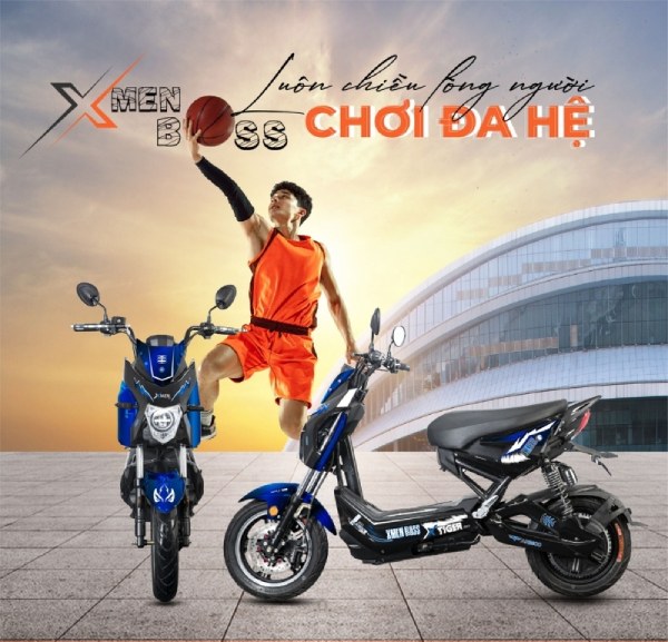 In Hoa Long nhận thiết kế và in ấn mẫu tờ rơi quảng cáo xe đạp điện số lượng ít