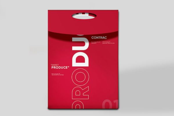 Mẫu túi giấy nắp gập giá rẻ, thiết kế theo yêu cầu tại Hà Nội