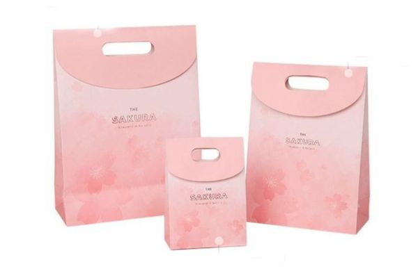 Mẫu túi giấy nắp gập giá rẻ, thiết kế theo yêu cầu tại Hà Nội