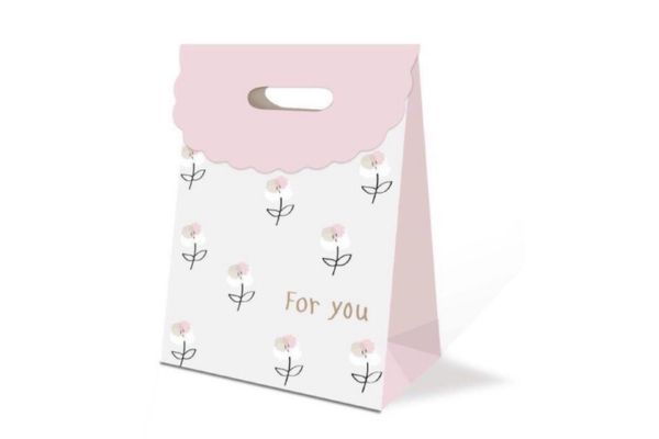 Mẫu túi giấy nắp gập giá rẻ, thiết kế theo yêu cầu tại Hà Nội