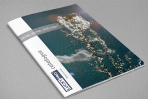 Những mẫu catalogue giới thiệu máy bơm đẹp mắt