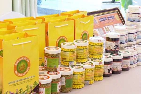 In tem nhãn sản phẩm ocop giá rẻ, mẫu đẹp