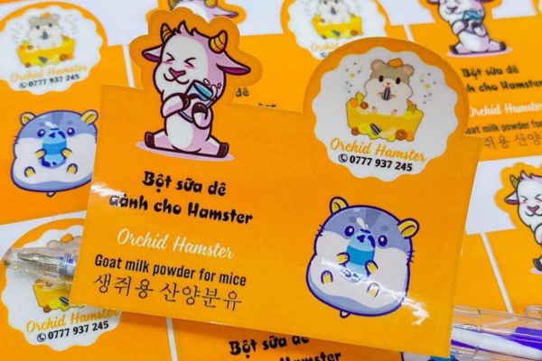 Cán màng decal sữa là gì