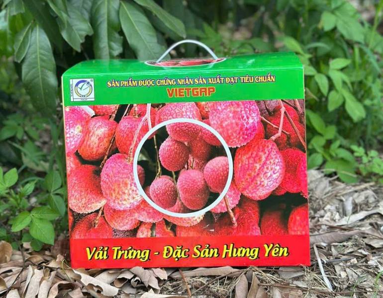 In hộp đựng vải thiều có quai xách