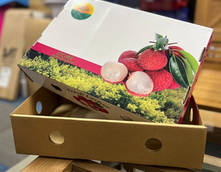 In hộp đựng vải thiều lỗ thông hơi