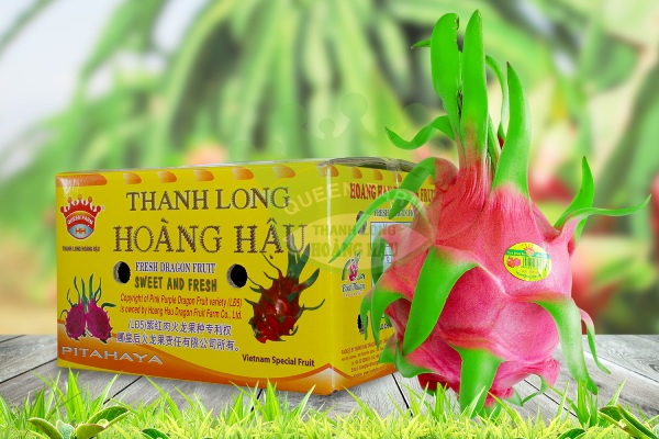 In Hoa Long nhận In thùng carton đựng thanh long theo yêu cầu