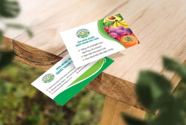 In Hoa Long nhận thiết kế và in mẫu card visit thực phẩm chất lượng